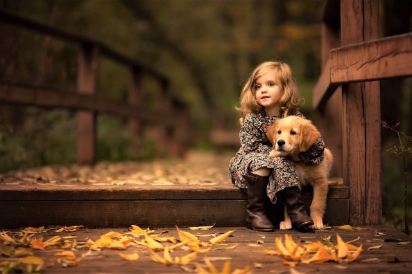Little Girl With Golden Retriever Puppy