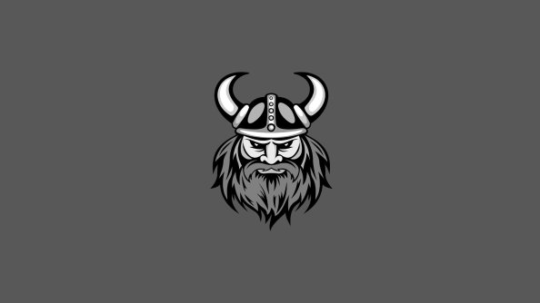 Vikings Minimalism