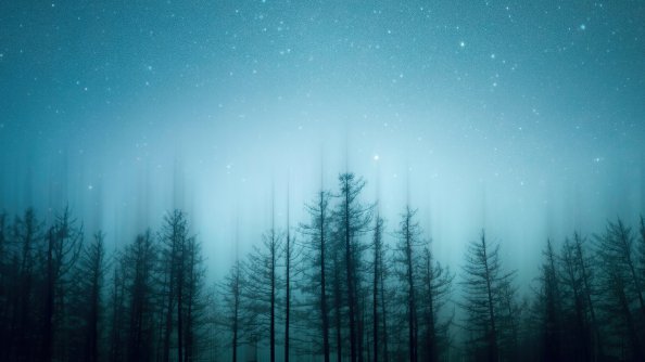 Green Pine Trees Under Blue Sky 4k